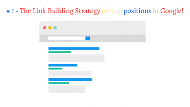 Link Building Strategy