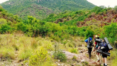 A Trek to the Highest Peak in Coorg