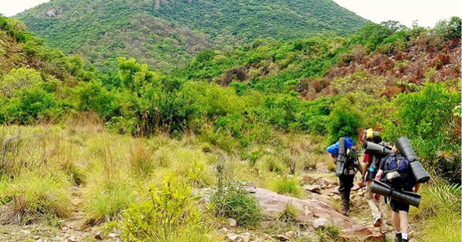 A Trek to the Highest Peak in Coorg