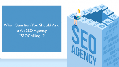 seo agency seo calling