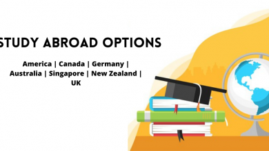 study abroad options