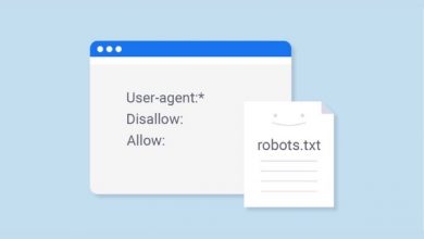 what is the robots.txt