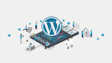 Reasons to Choose WordPress