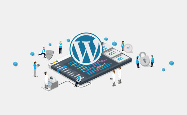 Reasons to Choose WordPress