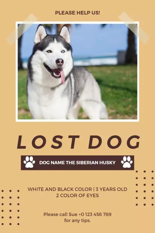 lost dog flyers