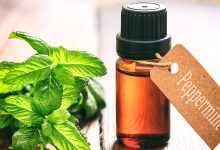 Peppermint Essential Oil Has Many Health Benefits