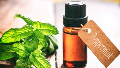 Peppermint Essential Oil Has Many Health Benefits